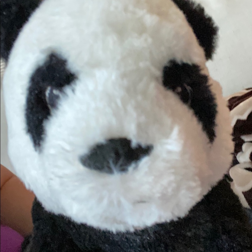 Meet your Posher, Kristen